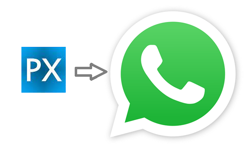 px whats app